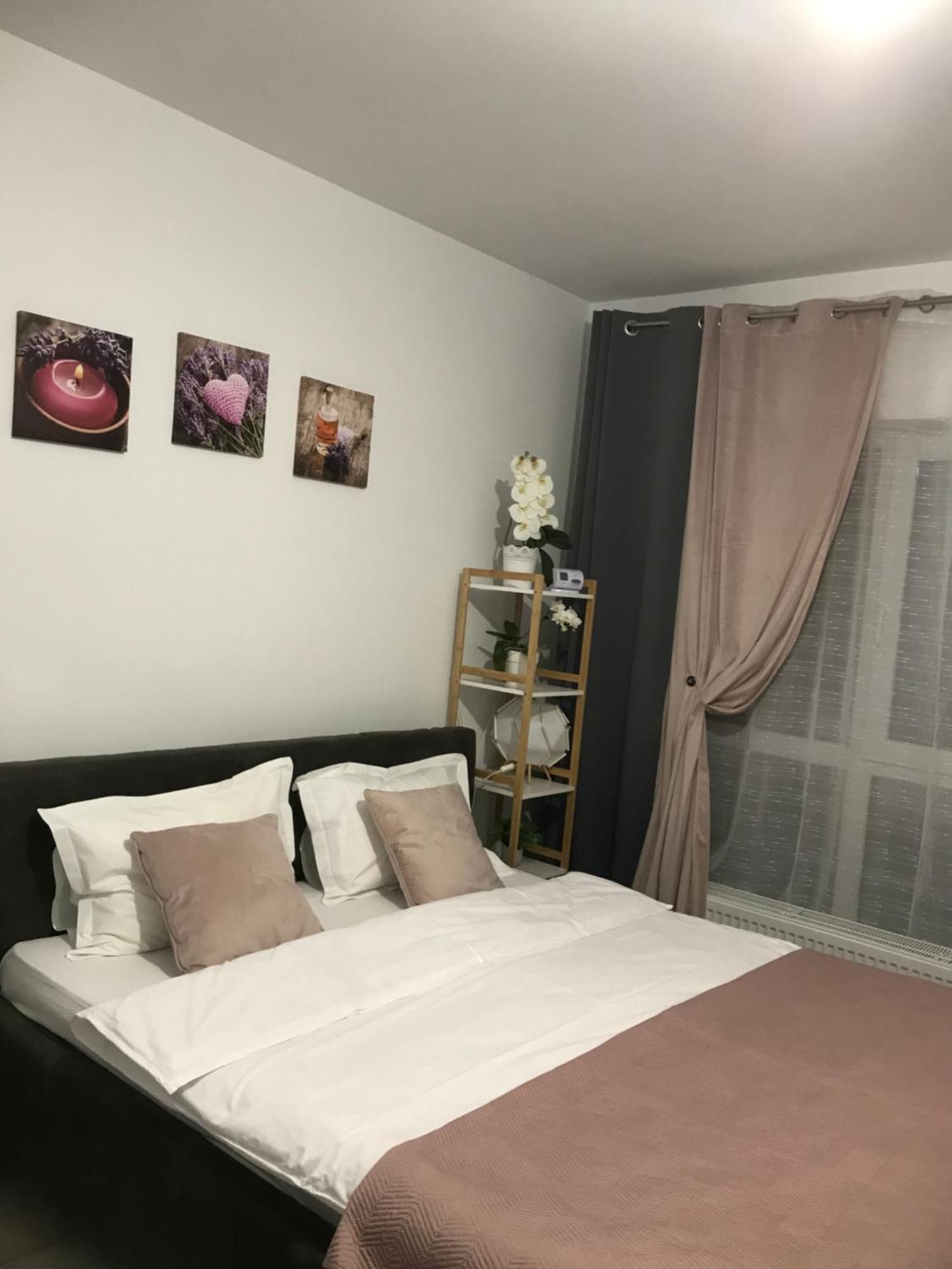 Appartement Deea H24 à Rîşnov Extérieur photo